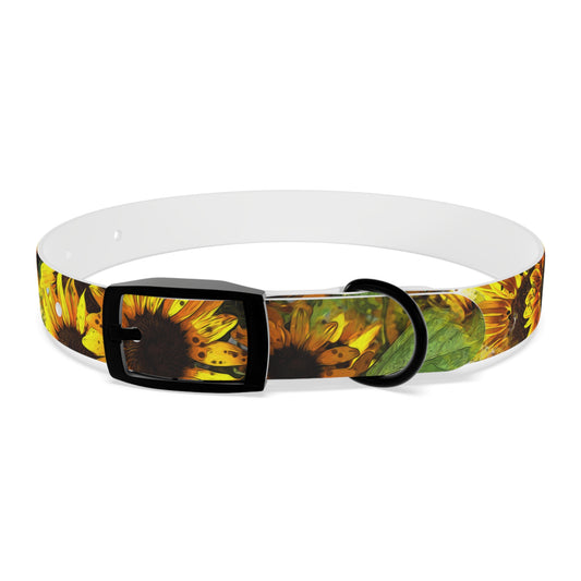 Dog Collar