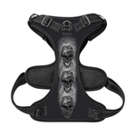 Skull Earth, Pet Harness With Leash